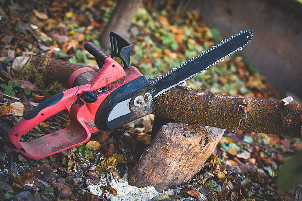 Best Weed Control  in Harrison, NJ